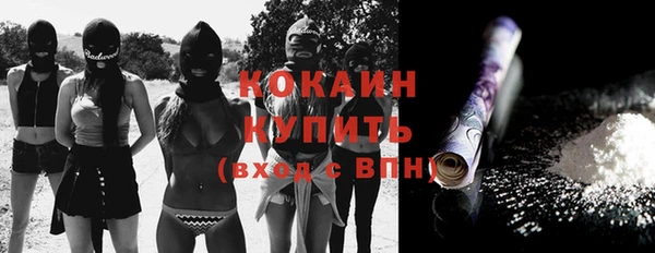 гашик Арсеньев