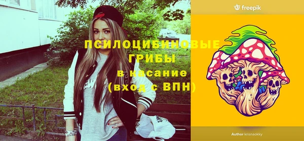 гашик Арсеньев