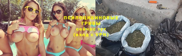 гашик Арсеньев