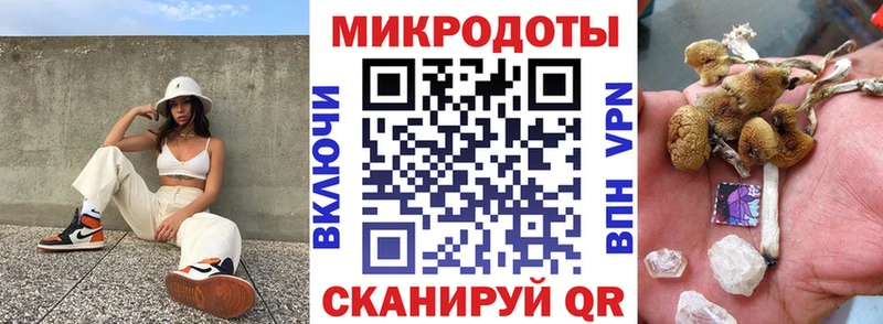 Псилоцибиновые грибы мицелий  закладка  Старая Русса 